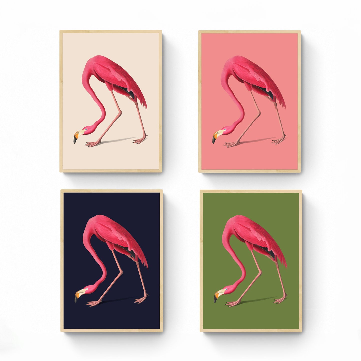 Pink Flamingo Art Print