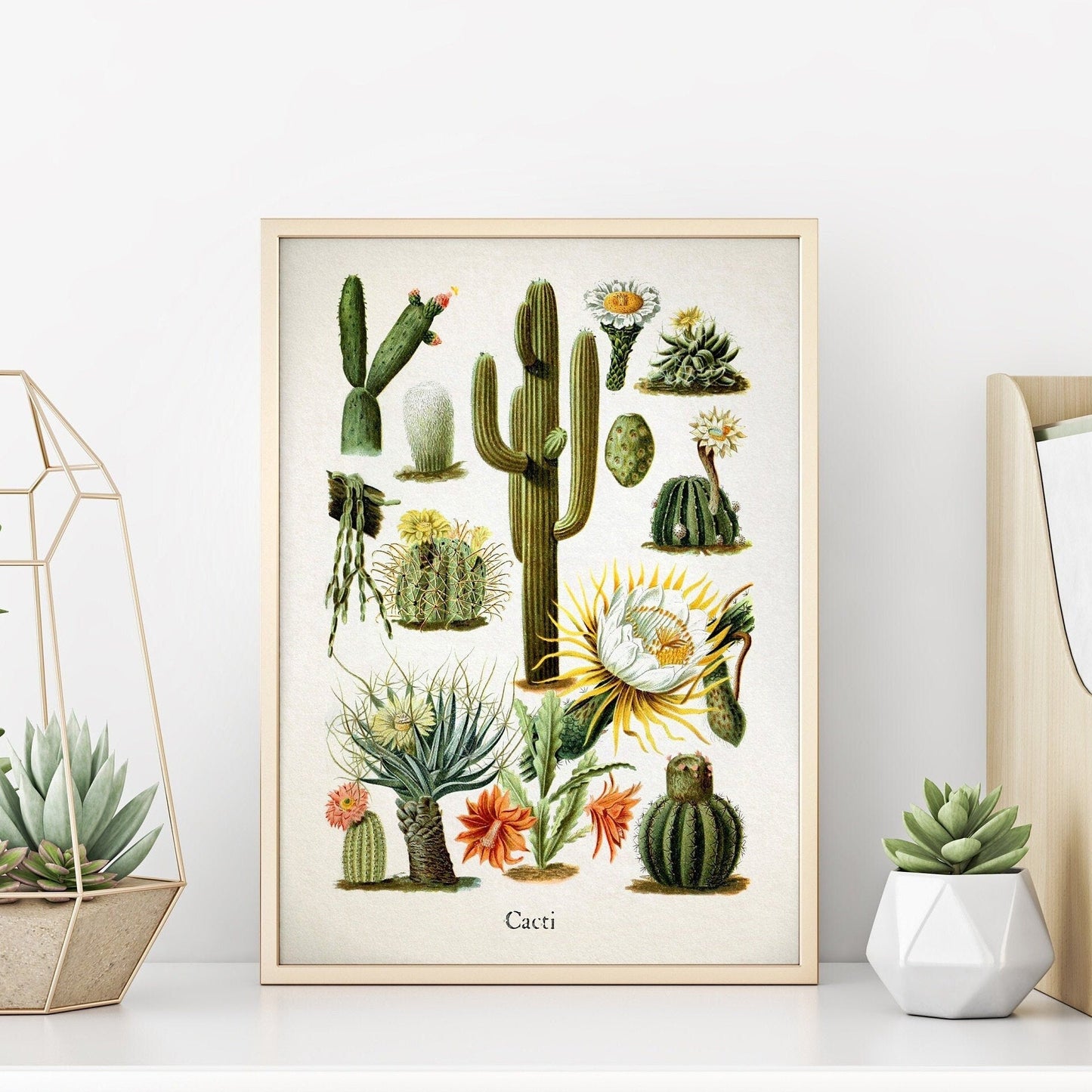 Botanical Cactus Art Print | Desert Succulent Decor | Nature-Inspired Wall Art | Natural Home Decor