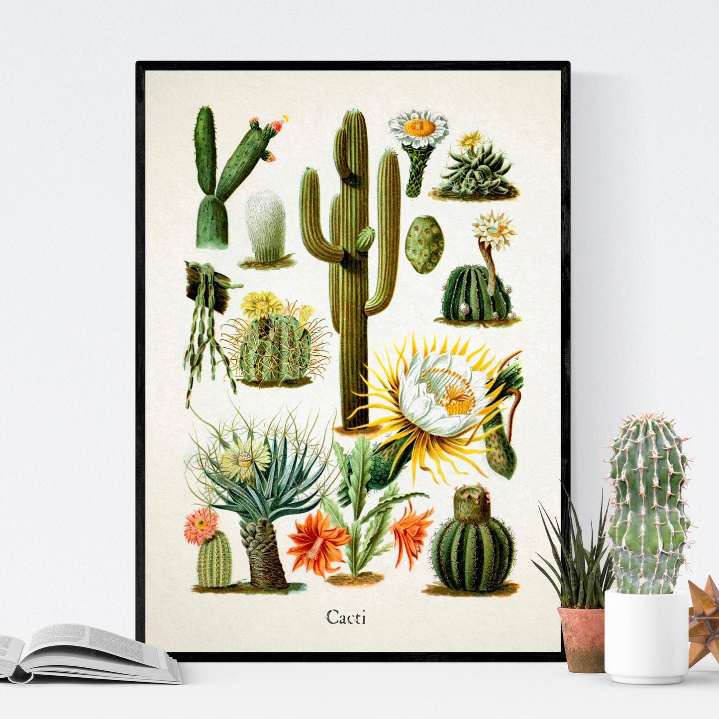 Botanical Cactus Art Print | Desert Succulent Decor | Nature-Inspired Wall Art | Natural Home Decor