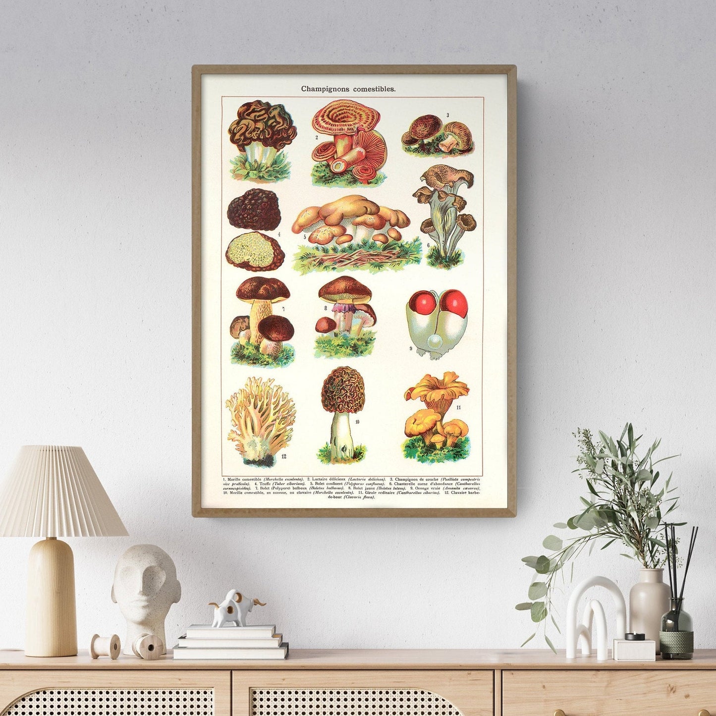 Mushrooms Art Print | Vintage Fungi Illustration | Large Botanical Wall Chart | French Gastronomy Art | Fall Home Decor
