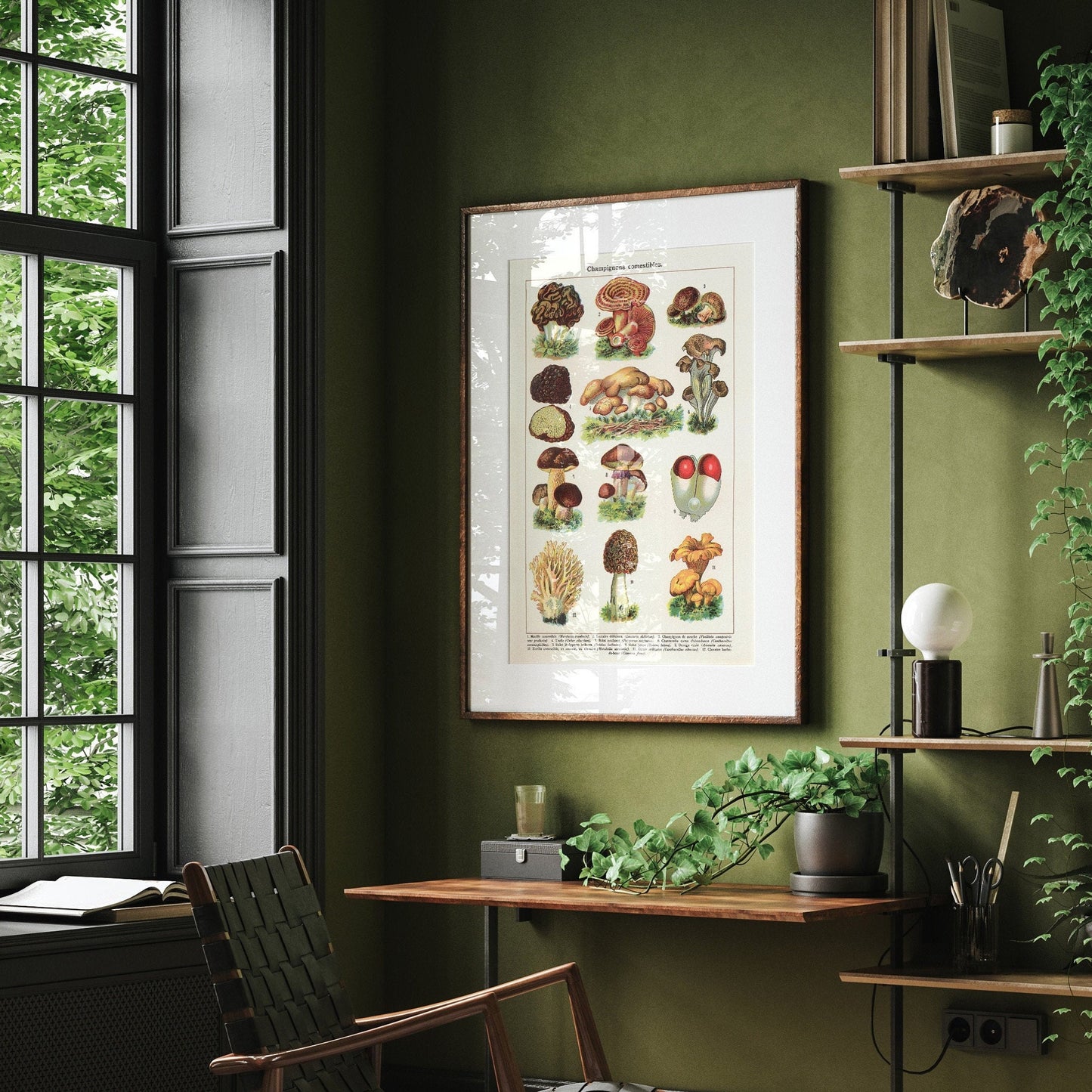 Mushrooms Art Print | Vintage Fungi Illustration | Large Botanical Wall Chart | French Gastronomy Art | Fall Home Decor