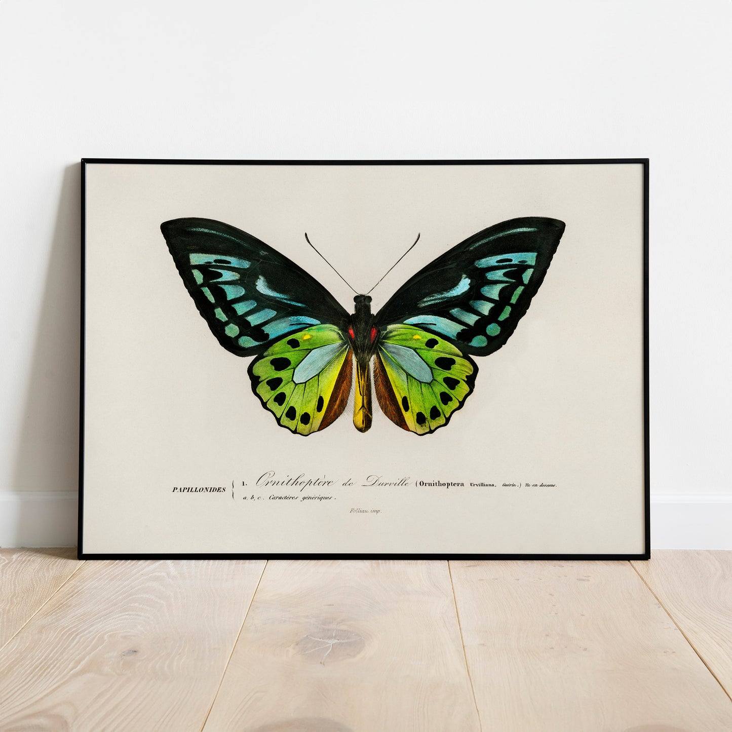 Butterfly Art Print | Minimalist Nature Print | Green Butterfly Art | Modern Home Decor