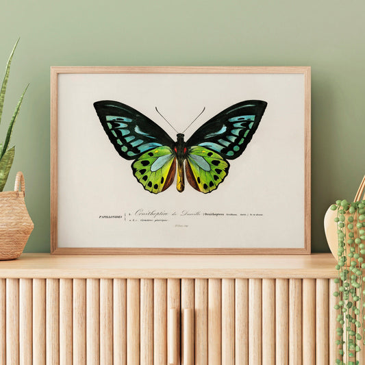 Butterfly Art Print | Minimalist Nature Print | Green Butterfly Art | Modern Home Decor
