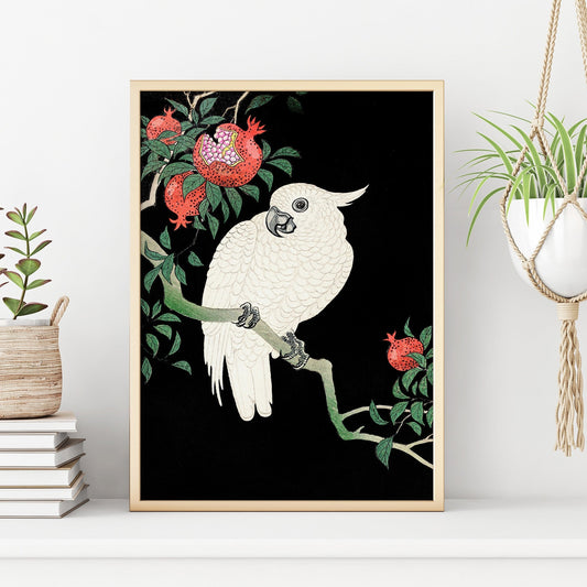 Cockatoo & Pomegranates Print