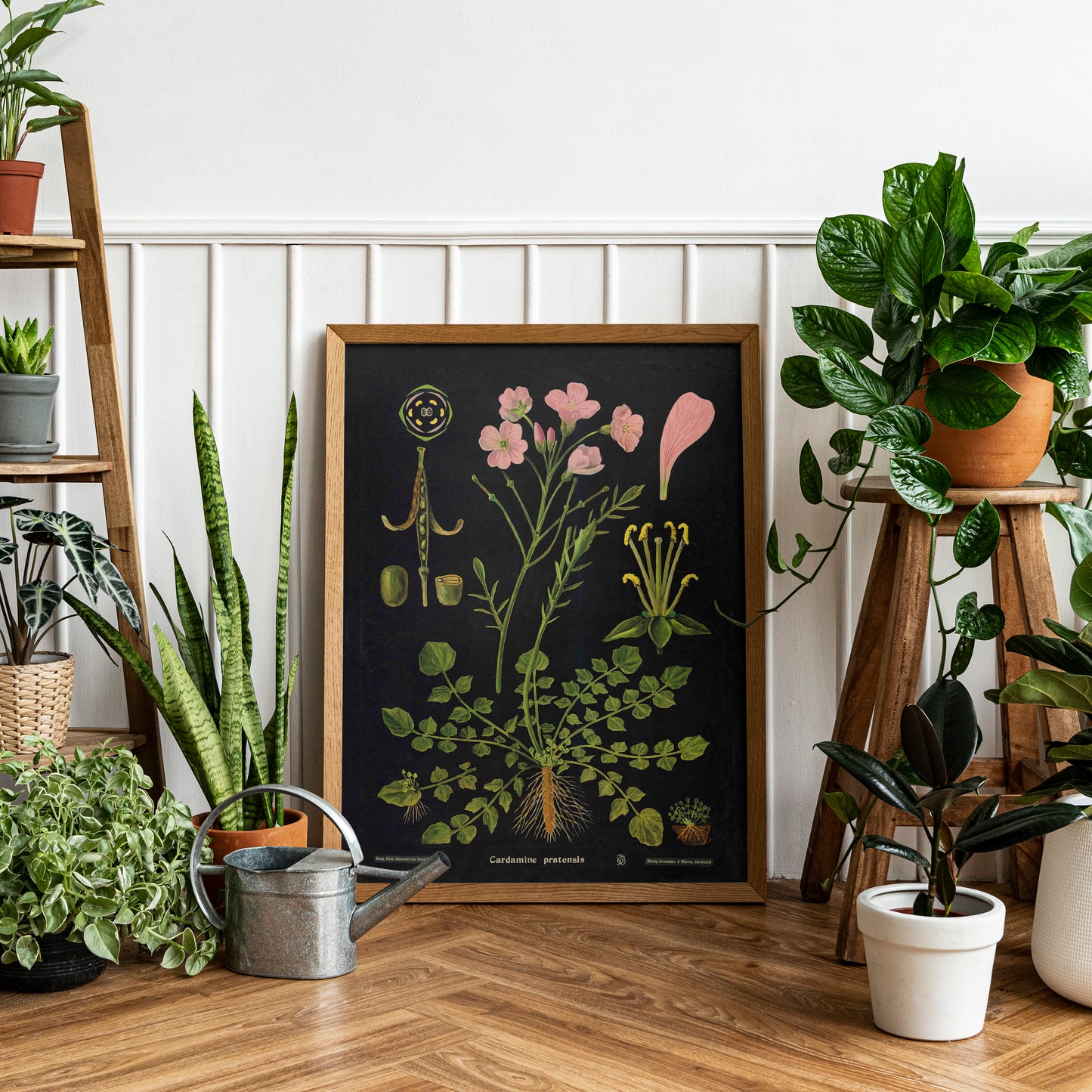Botanical Art Print