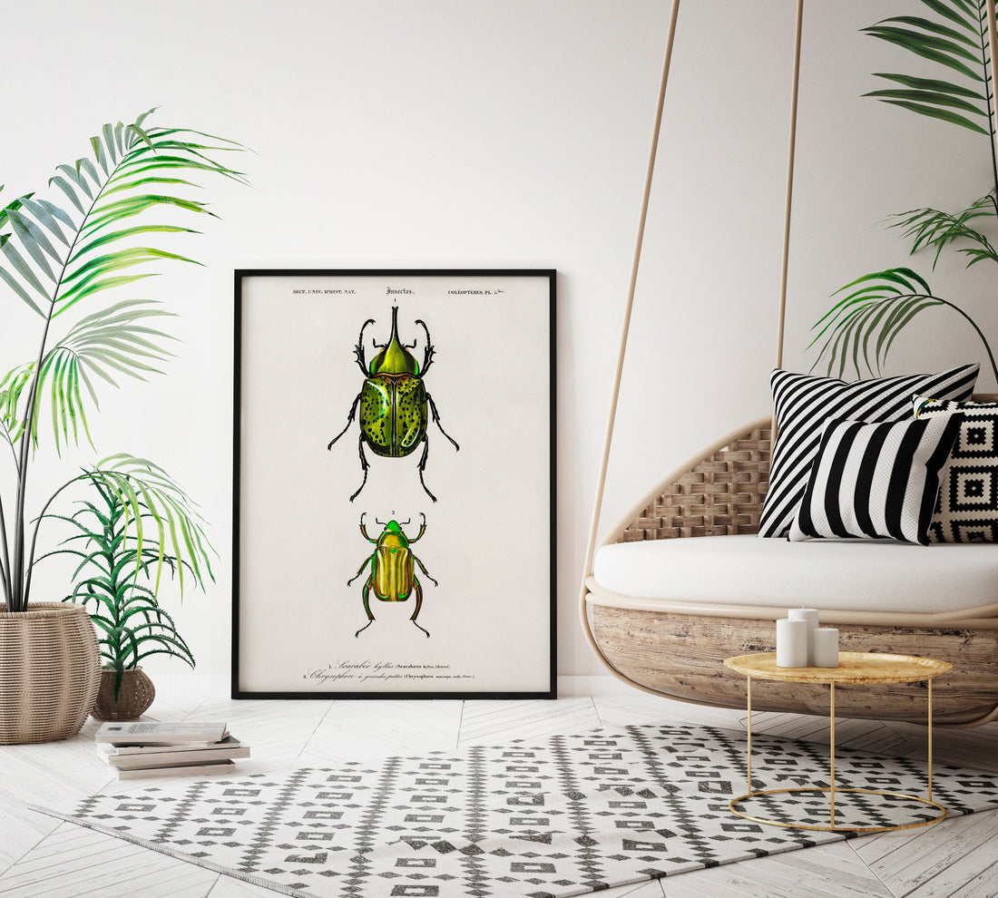 Vintage Beetle Insect Print – INK & SONS