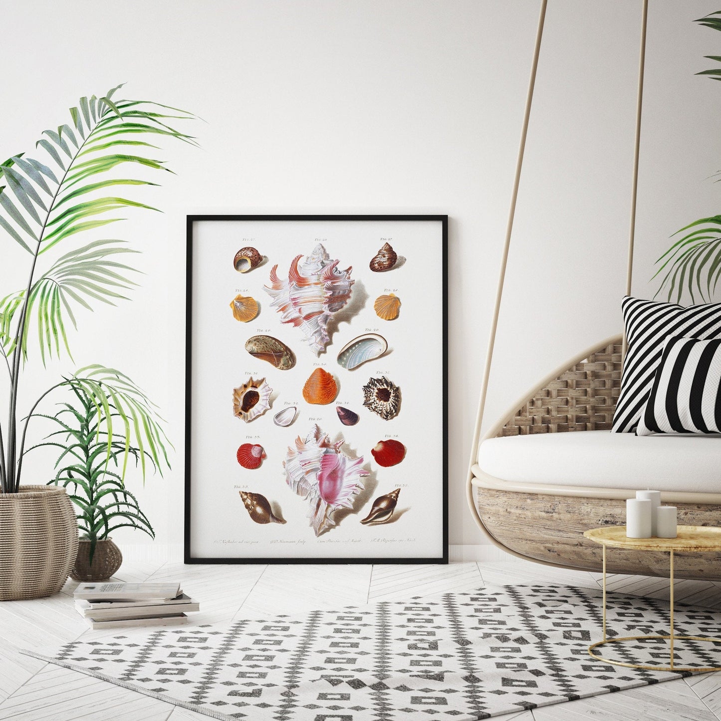Seashells Wall Art | Vintage Beach Print | Large Wall Art | Bathroom Decor | Holiday Poster
