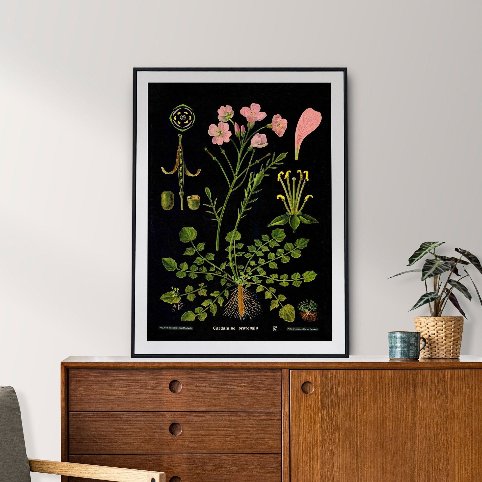 Botanical Art Print | Nature Prints | Jung Koch Quentell | Boho Apartment Decor | Gifts for Gardeners