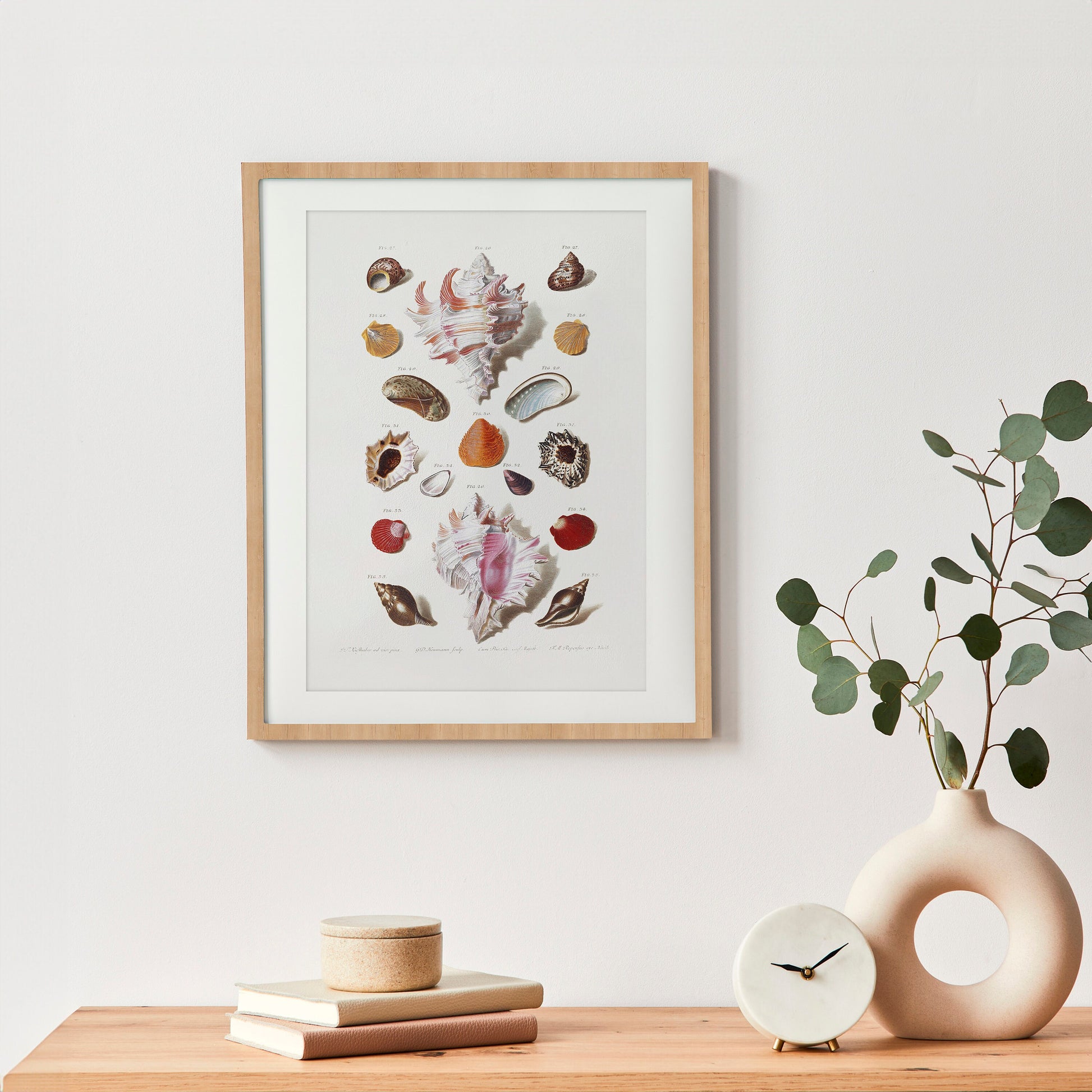 Seashells Wall Art | Vintage Beach Print | Large Wall Art | Bathroom Decor | Holiday Poster