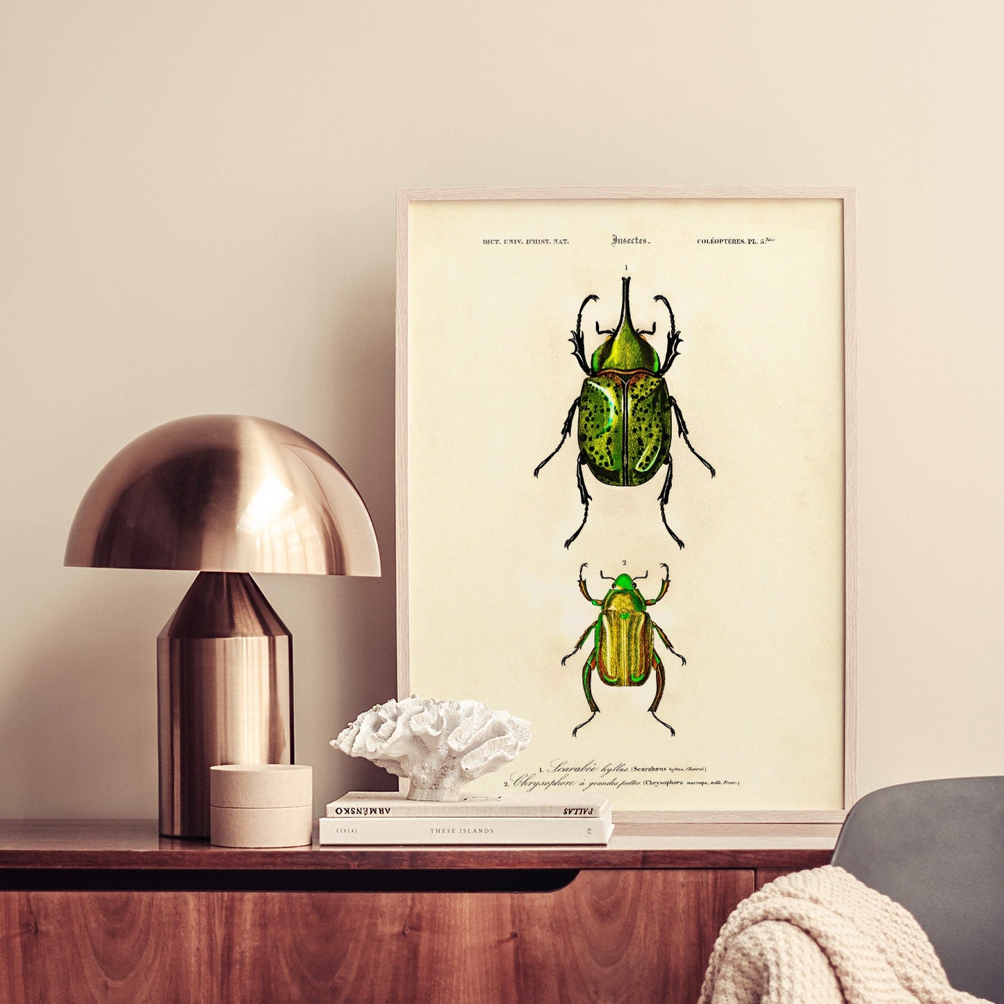 Vintage Beetle Insect Print