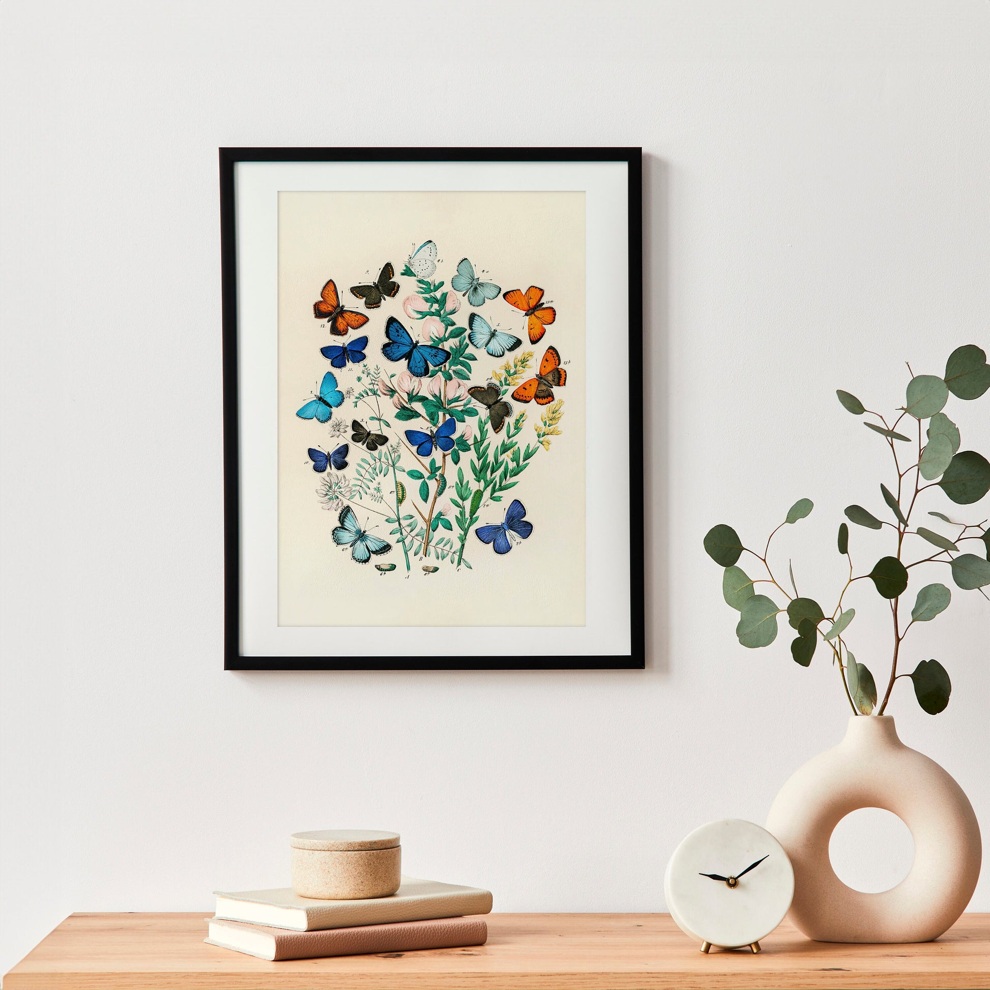 Blue Butterfly Art Print | Vintage Nature Print | Butterfly Poster | Large Wall Decor | Modern Home Decor